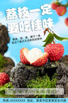 荔枝海报