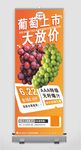 葡萄海报