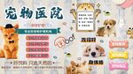 宠物医院背景墙