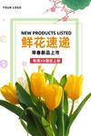 鲜花