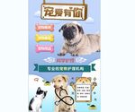 宠物医院背景墙
