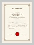晋级证书图片