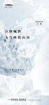 小雪