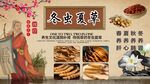 冬虫夏草背景墙