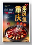 来凤鱼