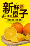 橙子