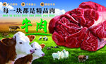精品牛肉海报
