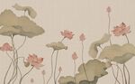 荷花工笔画 