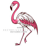 火烈鸟