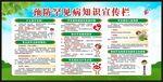国际罕见病日宣传栏