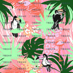 鹦鹉热带花