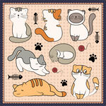 猫