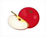 苹果矢量图