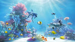 缤纷海底世界海底生物