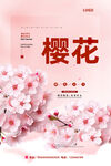 樱花节