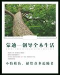 家居海报