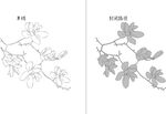 玉兰花 矢量图
