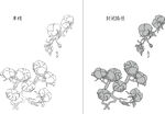 棉花 矢量图