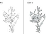 百合 矢量图