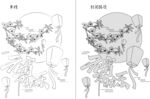 中秋 矢量图