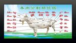 羊肉分割图 羊肉分解图