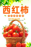 西红柿