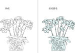 兰花 矢量图