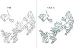白玉兰 矢量图
