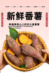 番薯