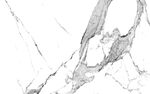 高清水墨雪花白大理石