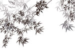 竹叶 枝头