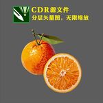 橙子矢量图