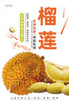 榴莲