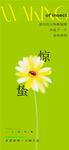 惊蛰节气海报图片