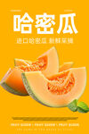 哈密瓜