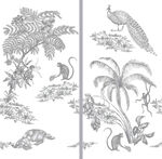 素描孔雀壁画