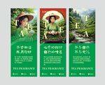 茶叶海报  