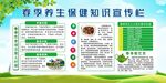 社区春季养生健康宣传栏