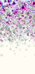 定位花
