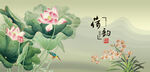 荷花