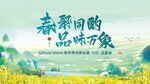 油菜花