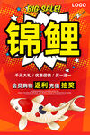 锦鲤