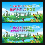 保护鸟类