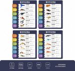 鳌虾的品种特征图鉴
