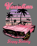 Vaeation车