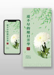 清明节2025