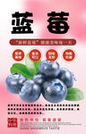 蓝莓背景墙