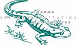 蜥蜴变色龙