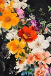 缤纷花卉艺术插画