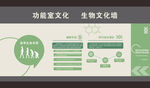 功能室生物文化墙